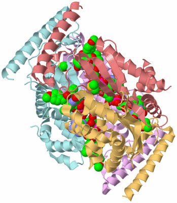 Image Biological Unit 2