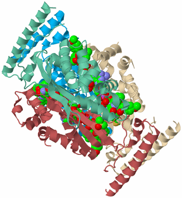 Image Biological Unit 3