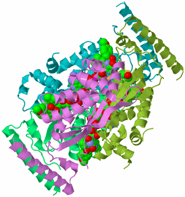 Image Biological Unit 4