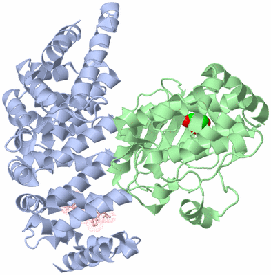 Image Asym./Biol. Unit