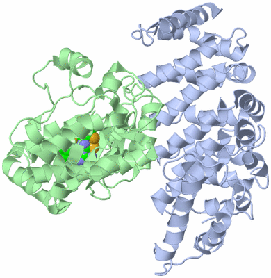 Image Asym./Biol. Unit