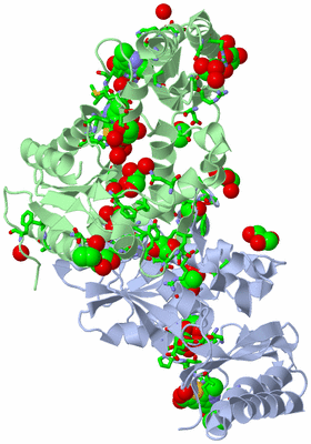 Image Biol. Unit 1 - sites