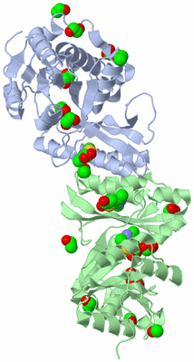 Image Biological Unit 2