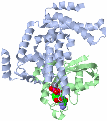 Image Asym./Biol. Unit