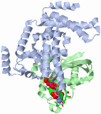 Image Asym./Biol. Unit - sites