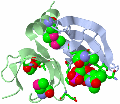 Image Asym./Biol. Unit - sites