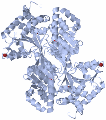 Image Biological Unit 1