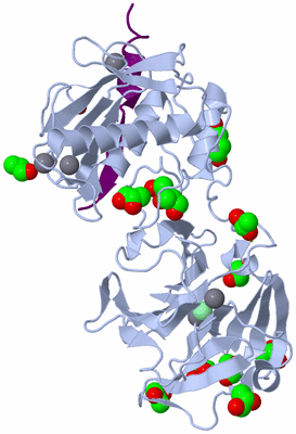 Image Biological Unit 1