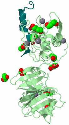 Image Biological Unit 2