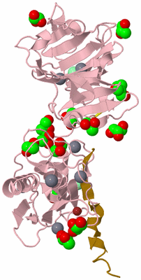 Image Biological Unit 3