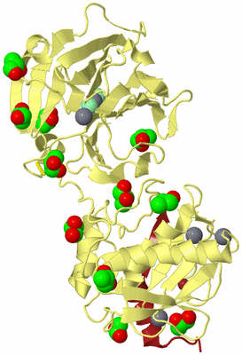 Image Biological Unit 4