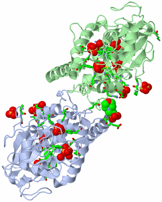 Image Asym./Biol. Unit - sites