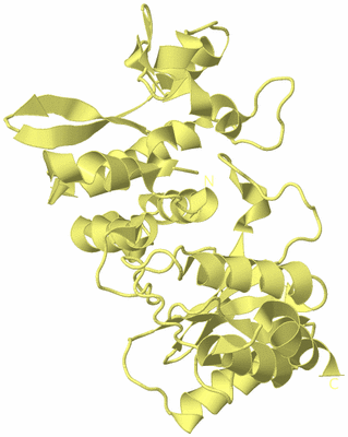 Image Biological Unit 4