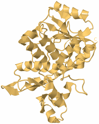 Image Biological Unit 7