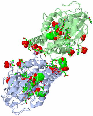 Image Asym./Biol. Unit - sites