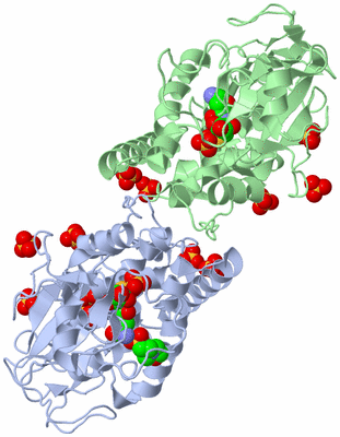 Image Asym./Biol. Unit