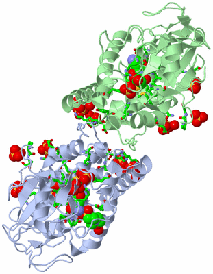 Image Asym./Biol. Unit - sites