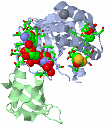 Image Asym./Biol. Unit - sites