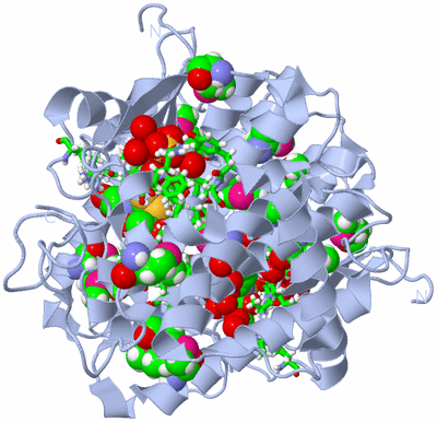 Image Biol. Unit 1 - sites