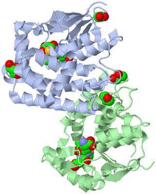 Image Biological Unit 1