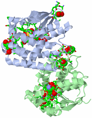 Image Biol. Unit 1 - sites