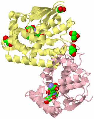 Image Biological Unit 2