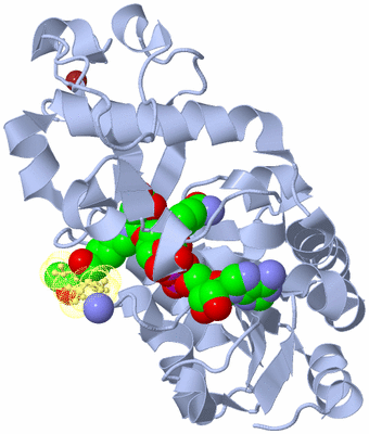 Image Biological Unit 1