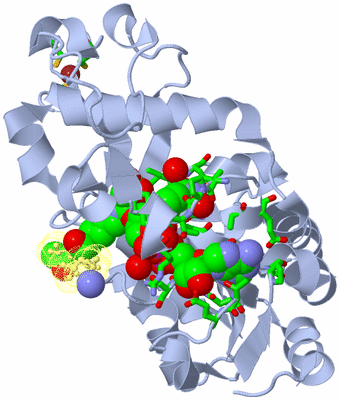 Image Biol. Unit 1 - sites