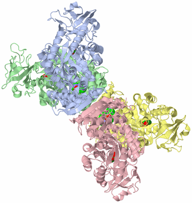 Image Asym./Biol. Unit