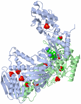 Image Asym./Biol. Unit