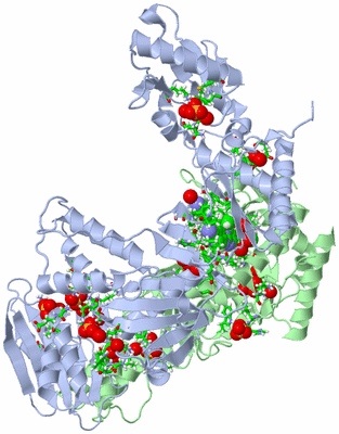 Image Asym./Biol. Unit - sites