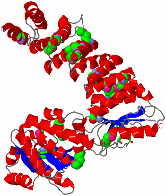 Image Asym./Biol. Unit - sites