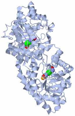 Image Biological Unit 1