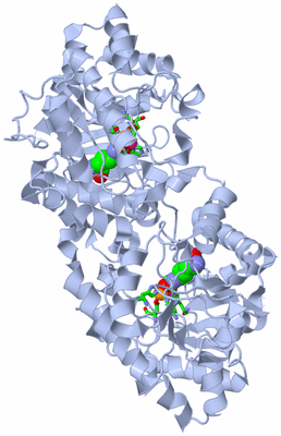 Image Biol. Unit 1 - sites