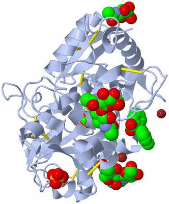 Image Asym./Biol. Unit