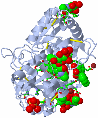 Image Asym./Biol. Unit - sites