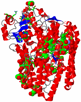 Image Asym./Biol. Unit - sites