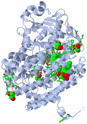 Image Biol. Unit 1 - sites