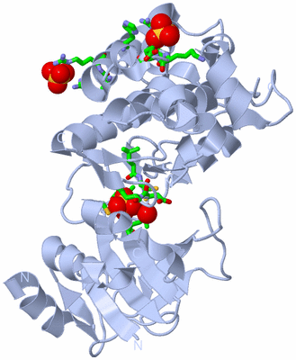 Image Biol. Unit 1 - sites