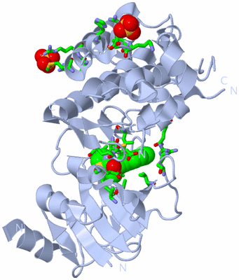 Image Biol. Unit 1 - sites