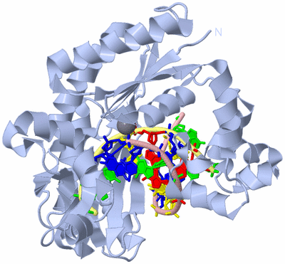 Image Biological Unit 1