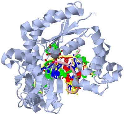 Image Biol. Unit 1 - sites