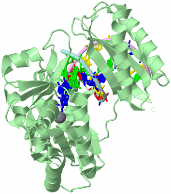 Image Biological Unit 2