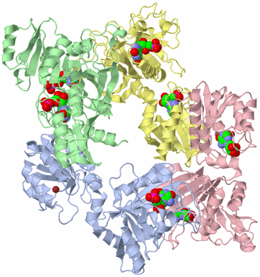 Image Asym./Biol. Unit