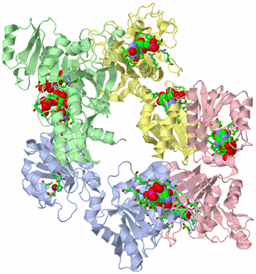 Image Asym./Biol. Unit - sites