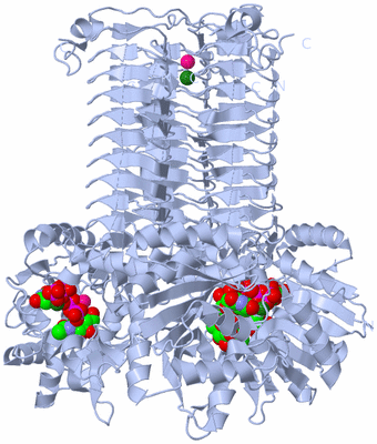 Image Biological Unit 1