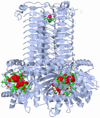 Image Biol. Unit 1 - sites