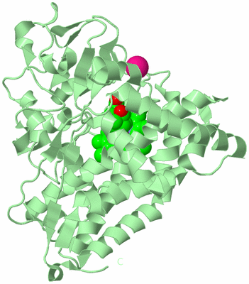 Image Biological Unit 2