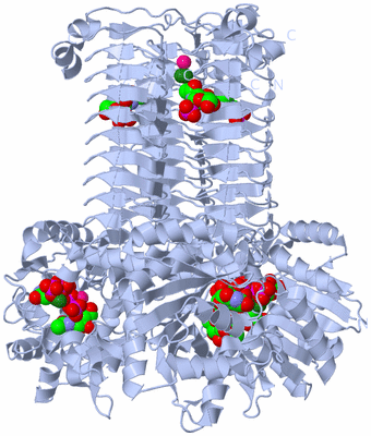 Image Biological Unit 1