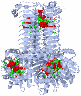 Image Biol. Unit 1 - sites